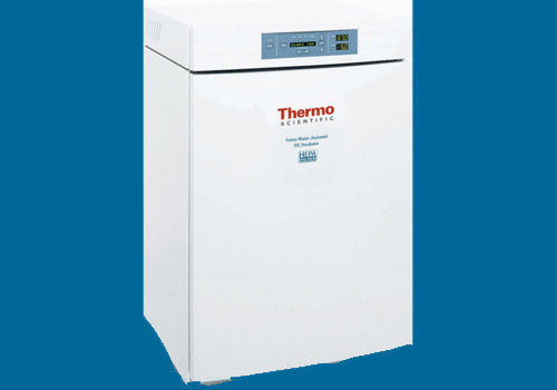 CO2 incubator- Thermo