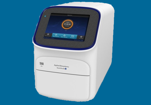 Quantstudio 5 Real time PCR